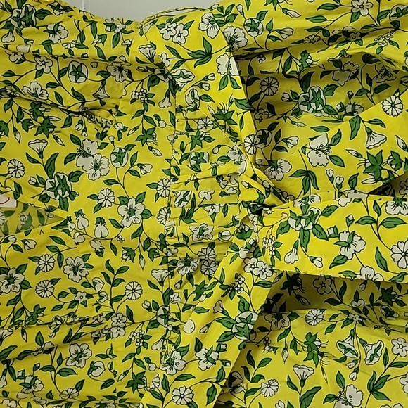 Banjanan Eliza Dress Audrey Sprig Aurora Cotton Poplin Midi - Picture 6 of 10